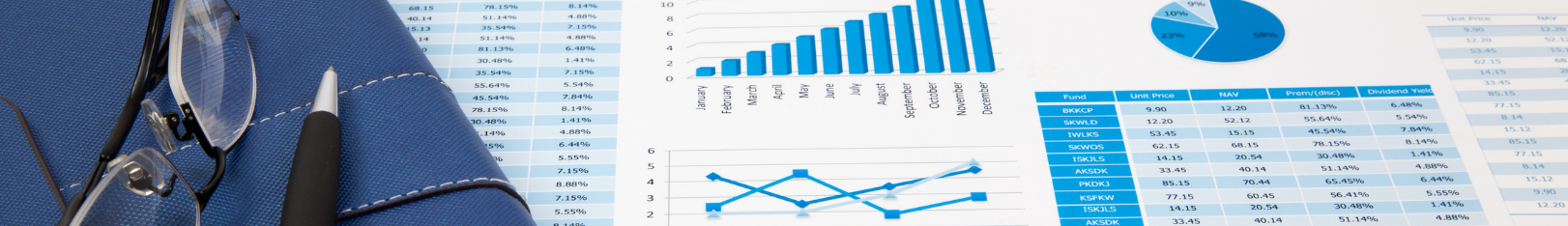 Financial Reports Yearly Audited Accounts
